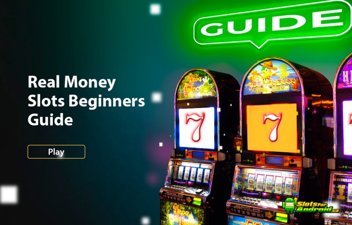 Tips Efektif Bermain Slot Money Money Money untuk Pemain Pemula